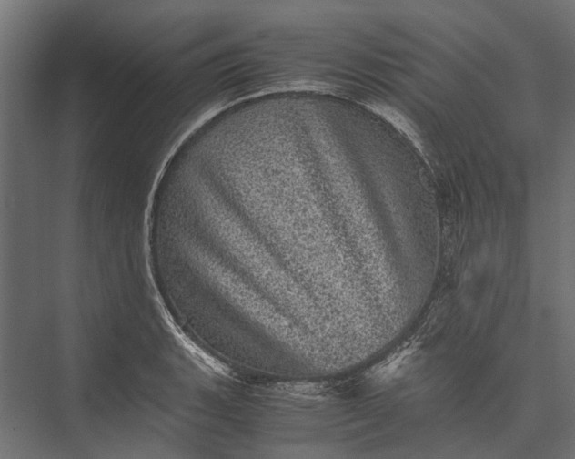 X0000076031135200610061411