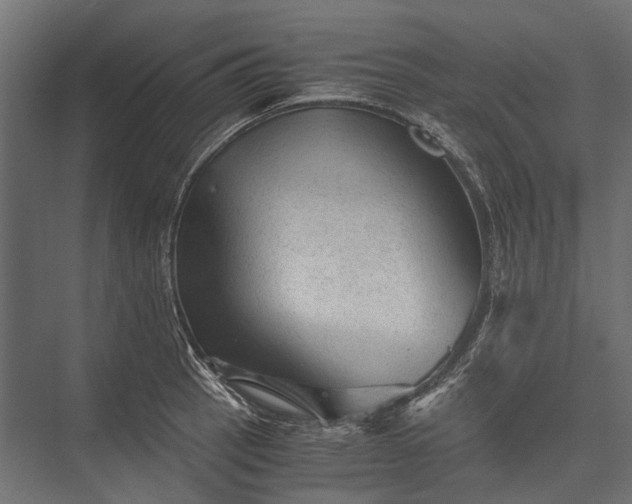 X0000076031137200610061411