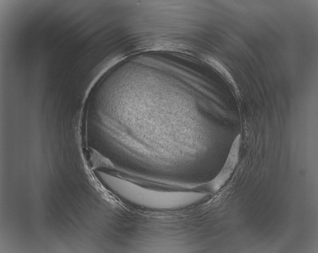 X0000076031138200610061411