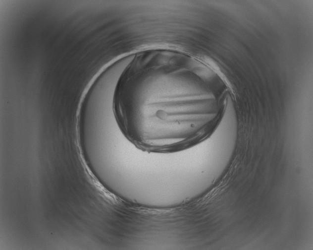 X0000076031140200610061411