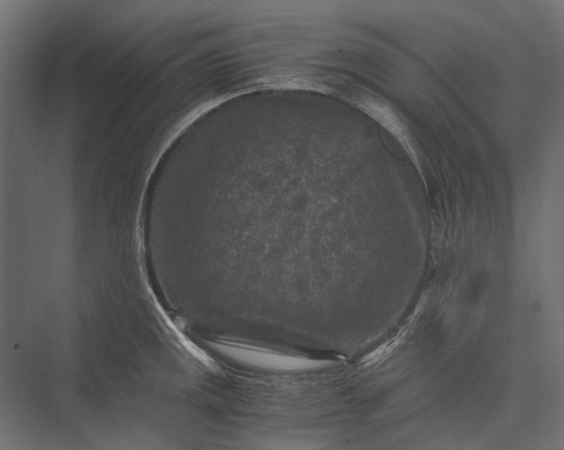 X0000076031141200610061411