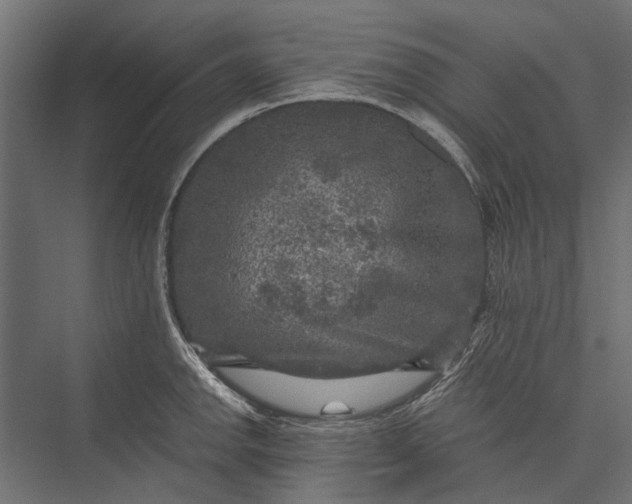 X0000076031142200610061411