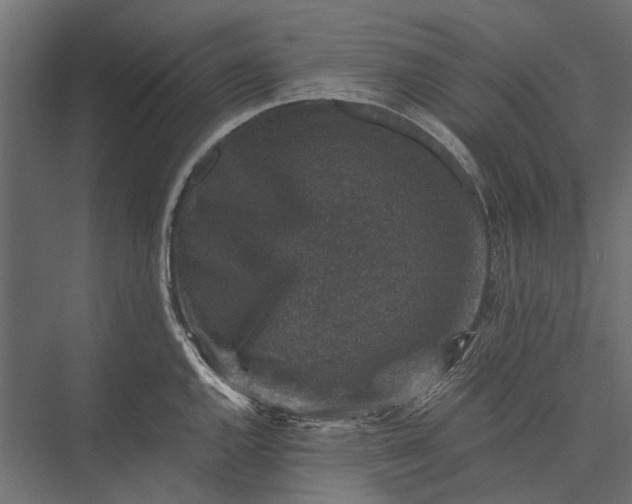 X0000076031144200610061411