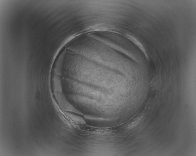 X0000076031146200610061411