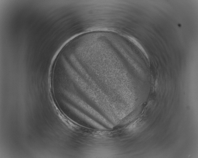 X0000076031148200610061411