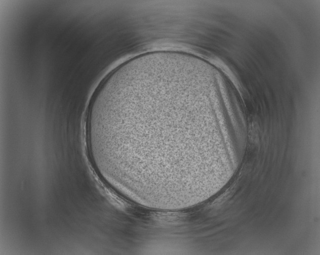 X0000076031150200610061411