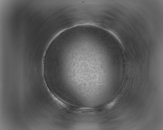 X0000076031151200610061411