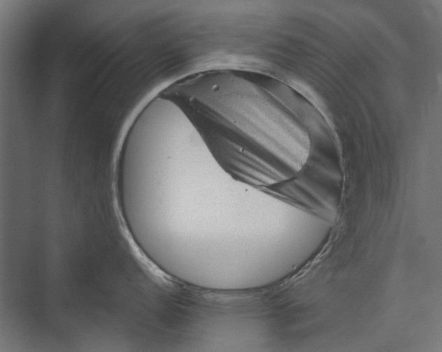 X0000076031152200610061411