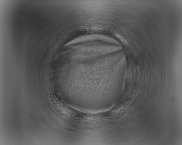 X0000076031153200610061411