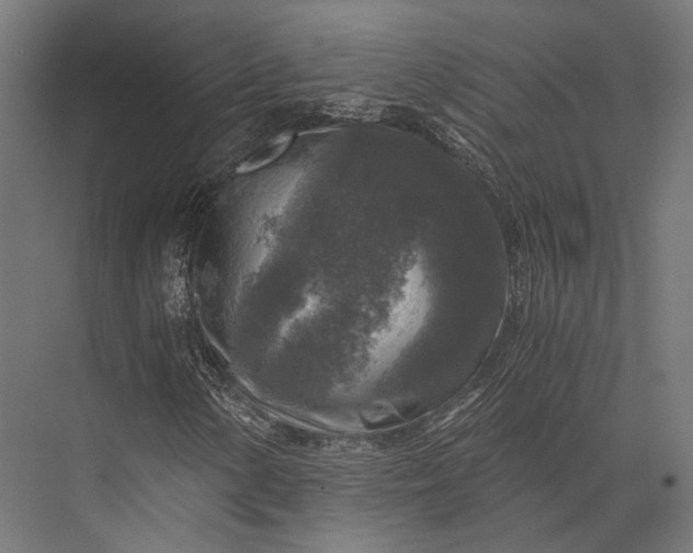 X0000076031154200610061411