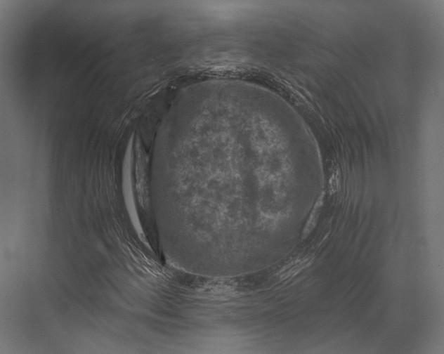 X0000076031156200610061411