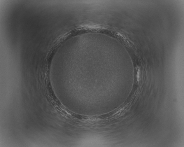 X0000076031157200610061410