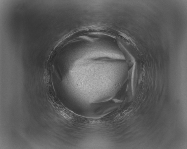 X0000076031160200610061410