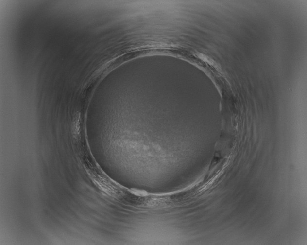 X0000076031161200610061410