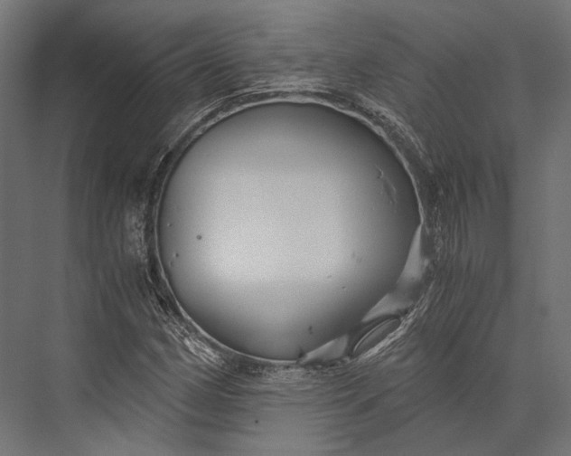 X0000076031162200610061410