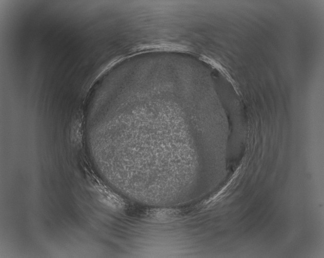 X0000076031163200610061410