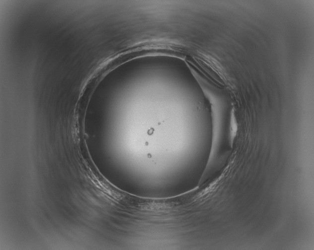 X0000076031164200610061410