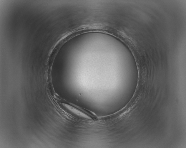 X0000076031166200610061410