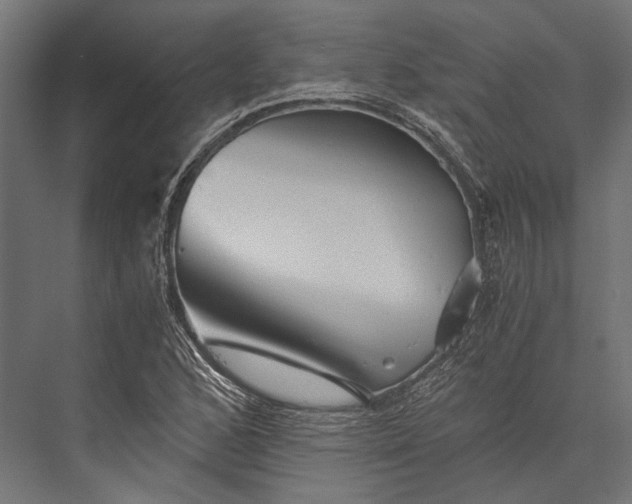 X0000076031168200610061410