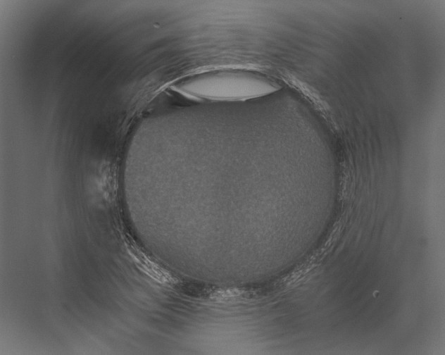 X0000076031169200610061410