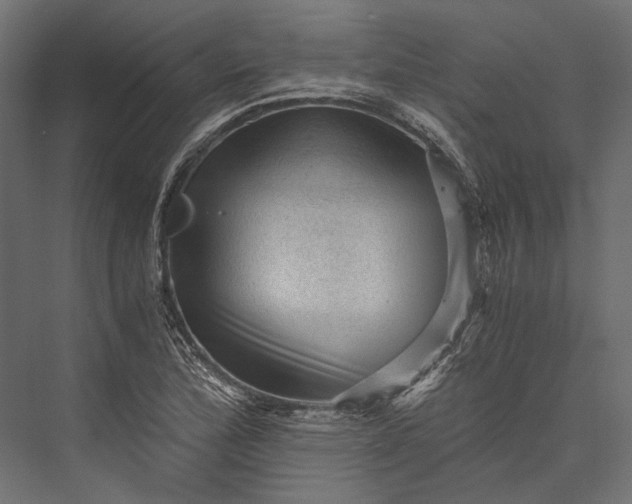 X0000076031172200610061410