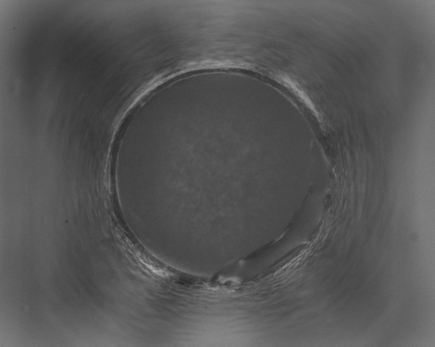 X0000076031173200610061410