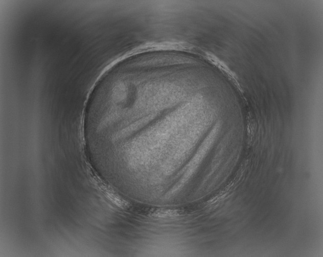 X0000076031174200610061410