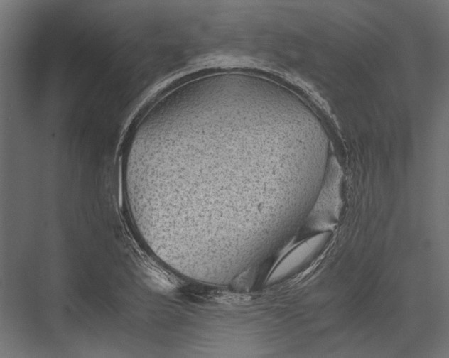 X0000076031175200610061410