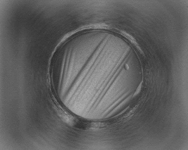 X0000076031176200610061410