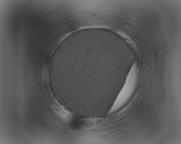 X0000076031177200610061410