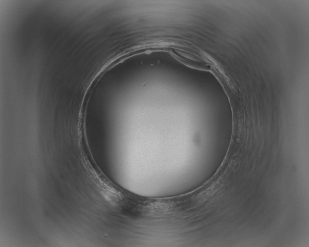 X0000076031178200610061410