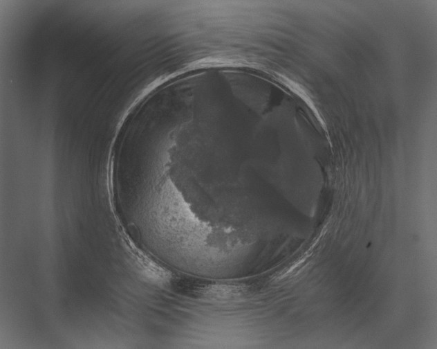 X0000076031179200610061410