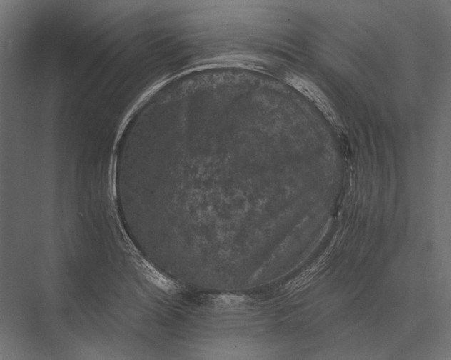 X0000076031180200610061410