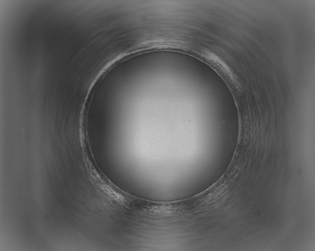 X0000076031182200610061410