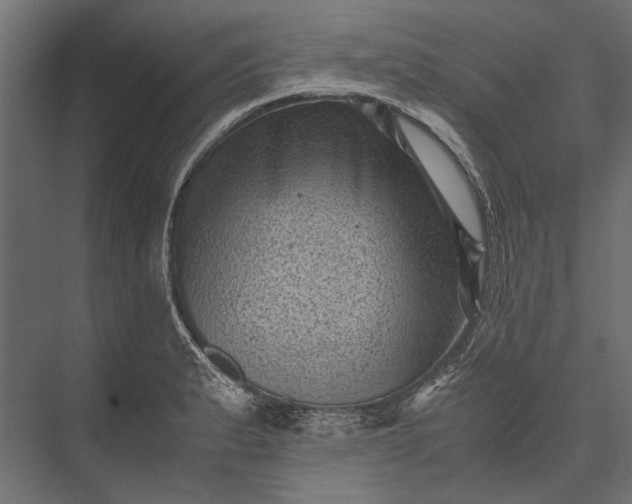 X0000076031183200610061410