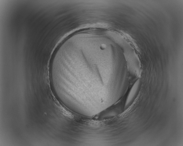 X0000076031184200610061410