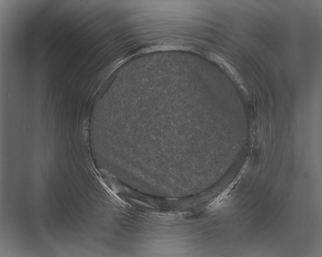 X0000076031185200610061410