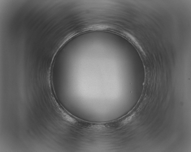 X0000076031186200610061410