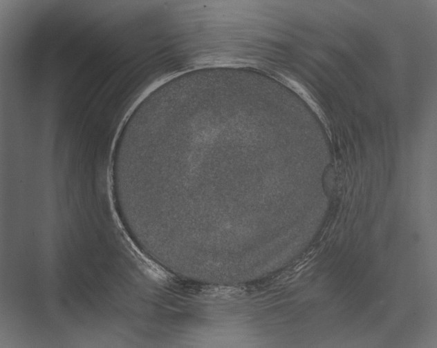 X0000076031187200610061410