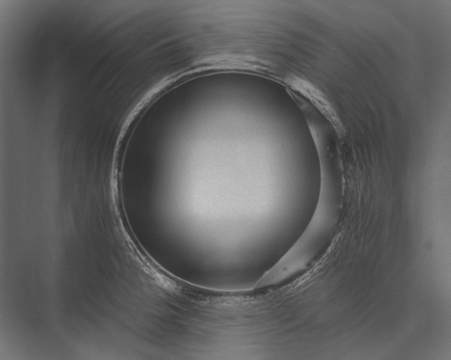 X0000076031188200610061410