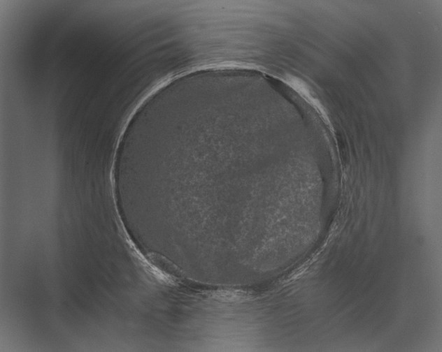 X0000076031189200610061410