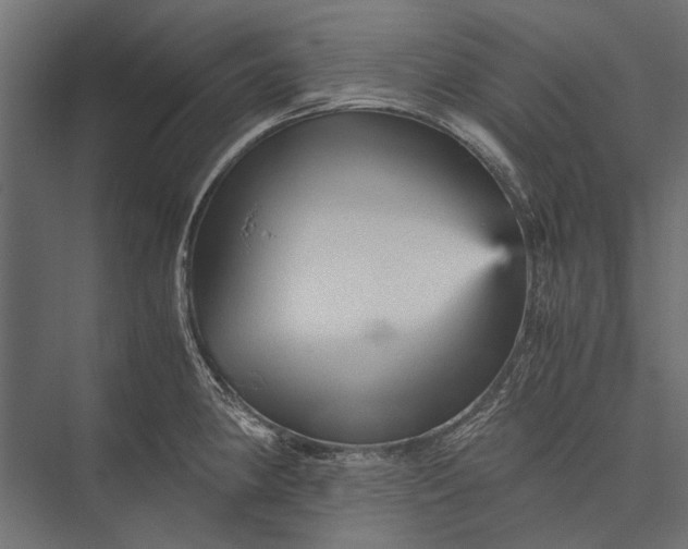 X0000076031190200610061410