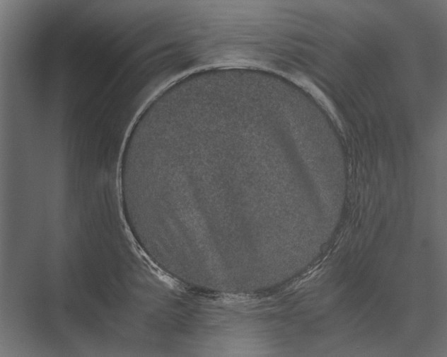 X0000076031191200610061410