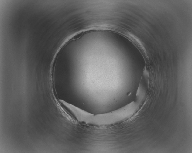 X0000076031192200610061410