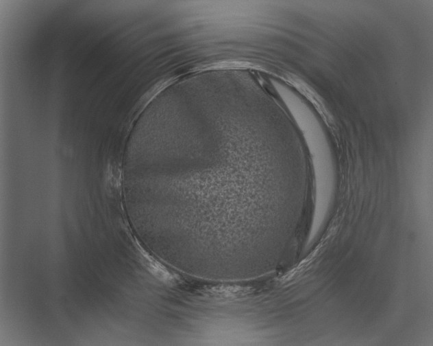 X0000076031193200610061410