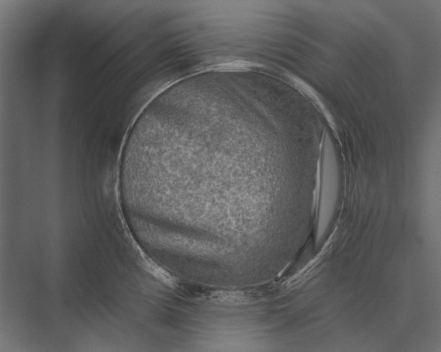 X0000076031194200610061410