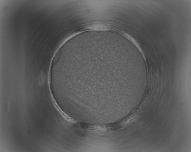 X0000076031195200610061410