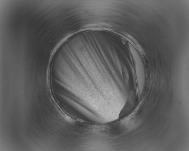 X0000076031196200610061410