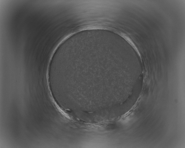 X0000076031197200610061410