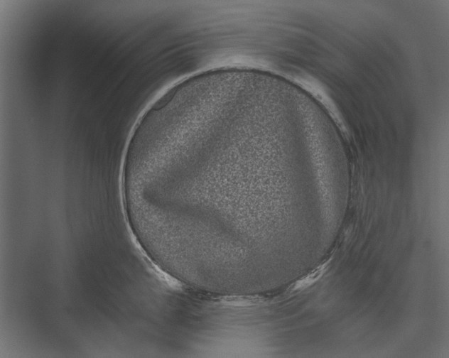 X0000076031199200610061410